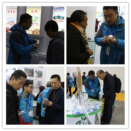 15144330255678894rSK.jpg initpintu_副本.jpg