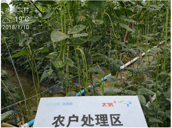 1515669185259198Hr1r.png blob.png