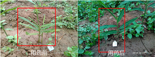 1531280696441378EdRG.png 圖片5.png