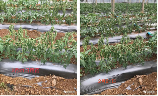 1587375030970319AOQY.png image.png