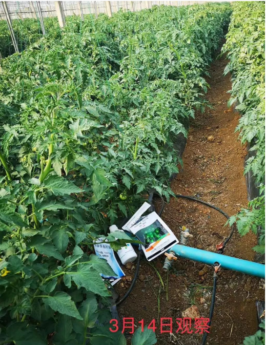 1587375068670055WMMb.png image.png